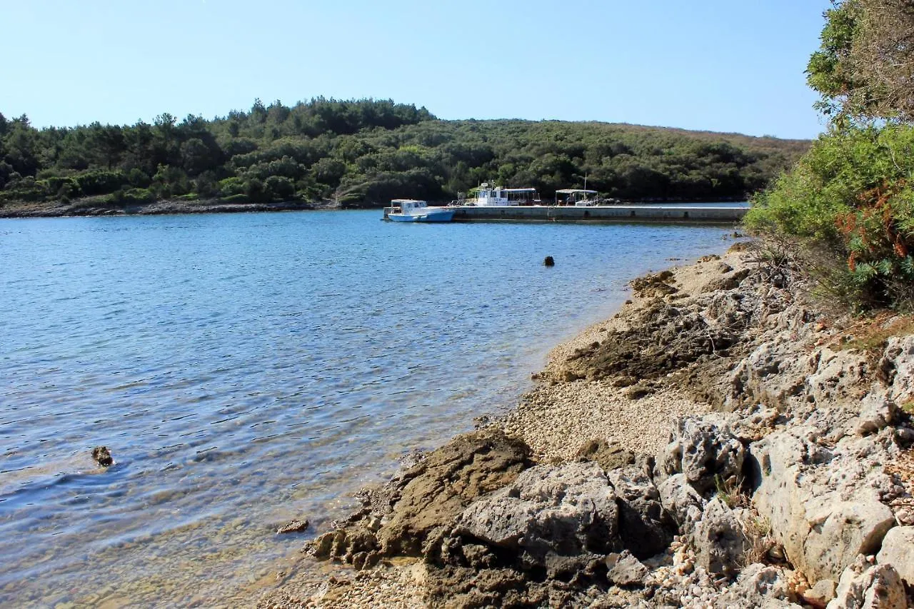 Apartments With A Parking Space Punta Kriza, Cres - 18644 Nerezine 0*,  Croatia